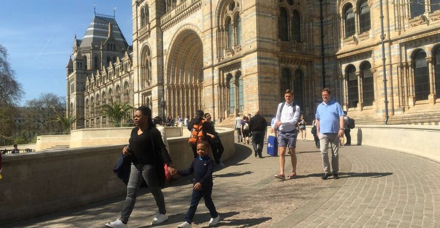 London: Natural History Museum Entry Ticket and Guided Tour - Evolution and the work behind the displays