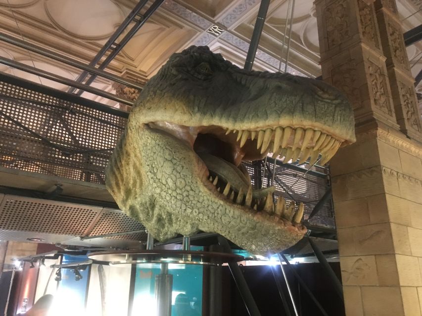 London: Natural History Museum Entry Ticket and Guided Tour - Who will enjoy this tour most