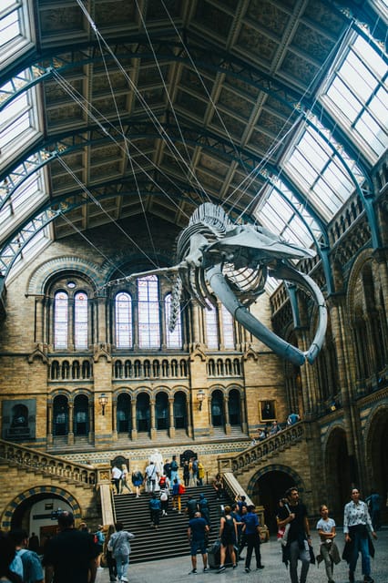 London: Natural History Museum Guided Tour - Why a Guided Visit Helps in an 80 Million Specimen Museum