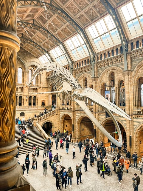 London: Natural History Museum Guided Tour - Meeting at the Exhibition Road Entrance