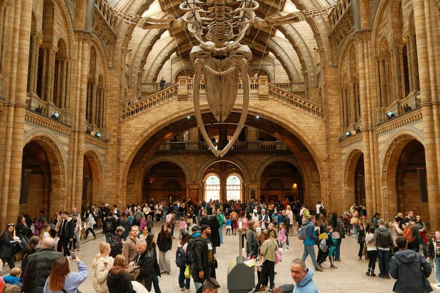 London: Natural History Museum Guided Tour - Archaeopteryx and the Bird-Dinosaur Link