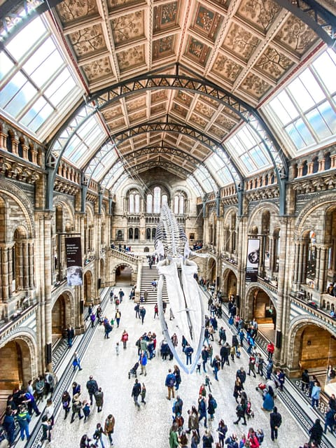 London: Natural History Museum Guided Tour - Starting with fossils and the first big questions