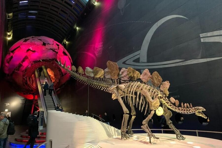 London: Natural History Museum Private Tour & Skip the line - Key points to know before you book