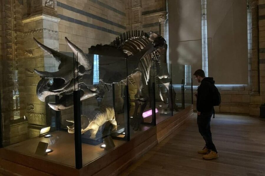 London: Natural History Museum Private Tour & Skip the line - Starting at South Kensington’s Museum Quarter