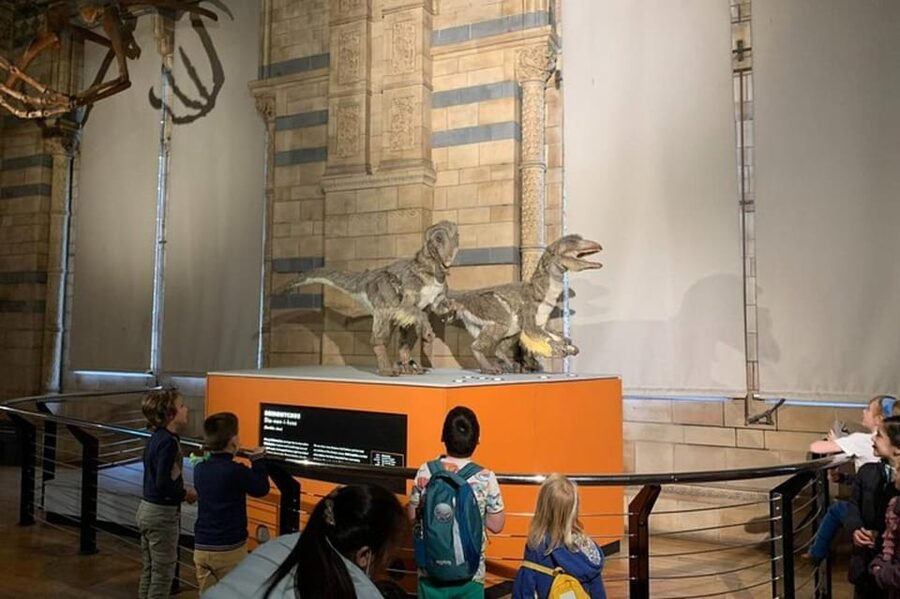 London: Natural History Museum Private Tour & Skip the line - Who will enjoy this tour most