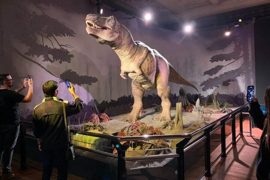 London: Natural History Museum Private Tour & Skip the line - Skip-the-line entry and a calmer first look