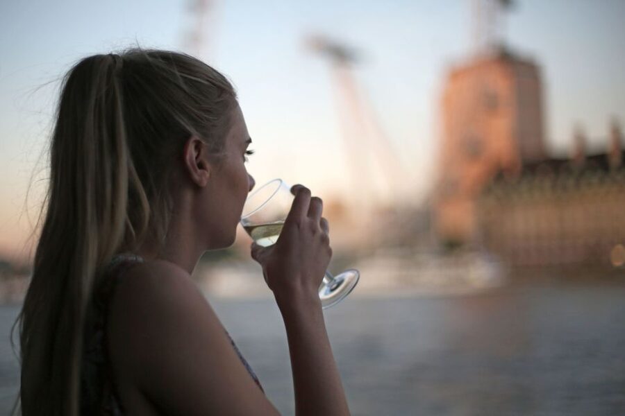 London: River Thames Evening Cruise with Bubbly and Canapés - London Eye and the Houses of Parliament