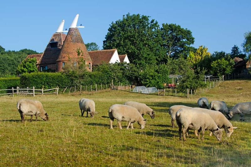 London: Small Group Canterbury, Dover & Kent Villages Tour - Timing, comfort and practical concerns