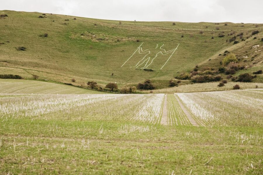 London: South Downs White Cliffs Day Trip with Train Tickets - Devil’s Dyke and the wide Sussex view
