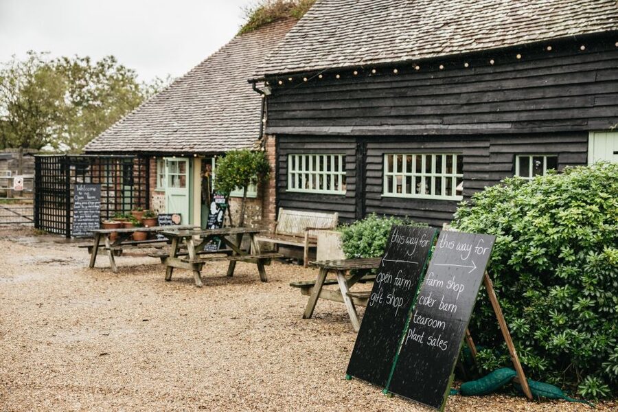 London: South Downs White Cliffs Day Trip with Train Tickets - How comfortable and crowded is the day?