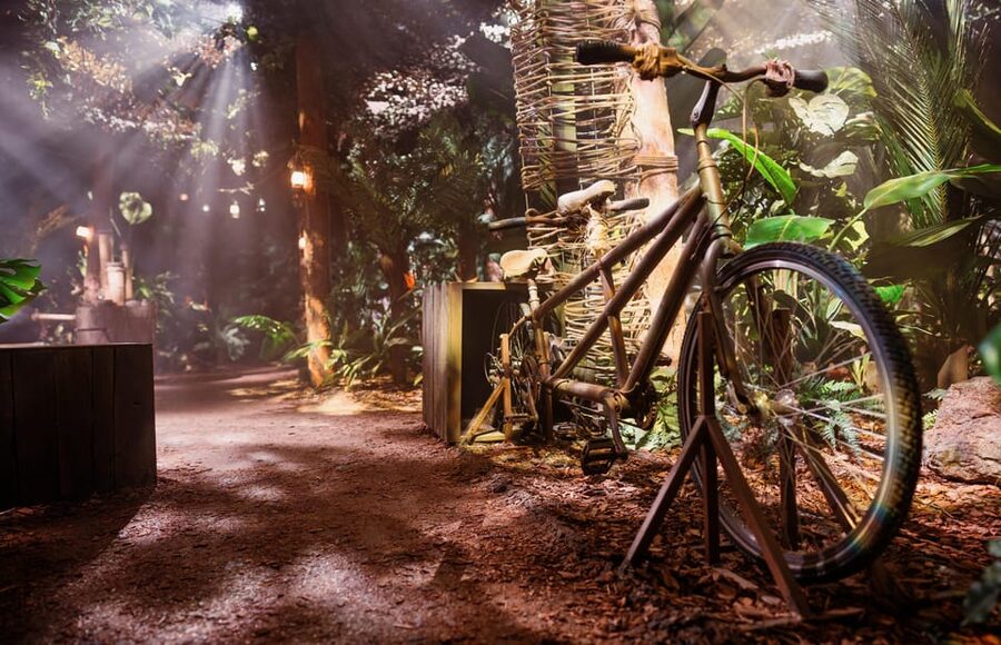 London: The Paddington Bear Experience - Timing, access, and family logistics