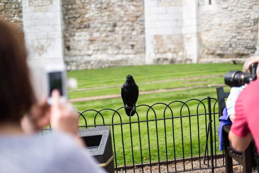 London: Tower of London Tour with Crown Jewels & Beefeaters - Why the Beefeater meeting changes the visit