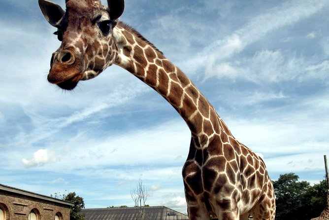 London Zoo: Entry Ticket - What a day at London Zoo is really like
