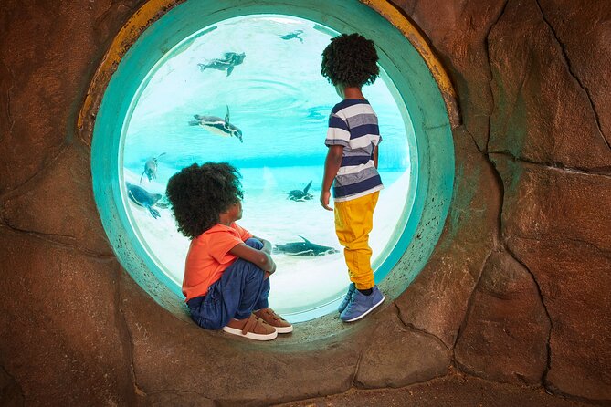 London Zoo: Entry Ticket - Tiger Territory explains the cost of survival