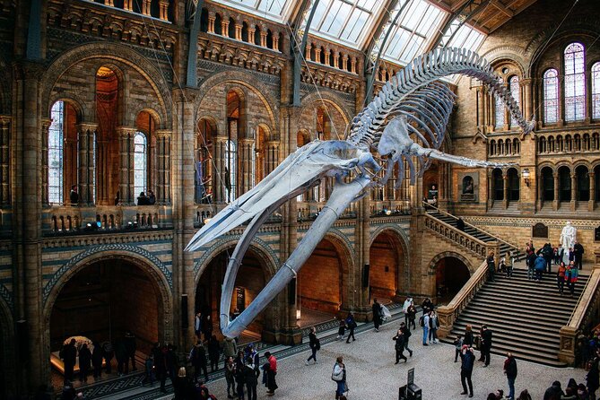 Natural History Museum London - Exclusive Guided Museum Tour - Key points at a glance