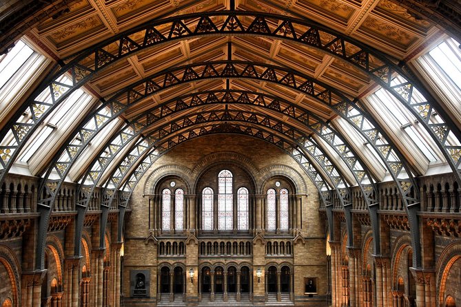 Natural History Museum London - Exclusive Guided Museum Tour - Why this museum benefits from a guide