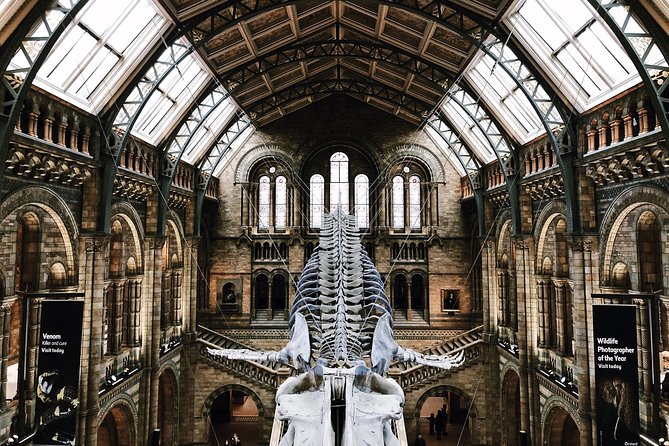 Natural History Museum London - Exclusive Guided Museum Tour - The opening story: Earth, fire, and extinction