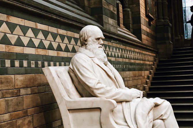 Natural History Museum London - Exclusive Guided Museum Tour - Plants, preserved animals, and giant sequoia wood
