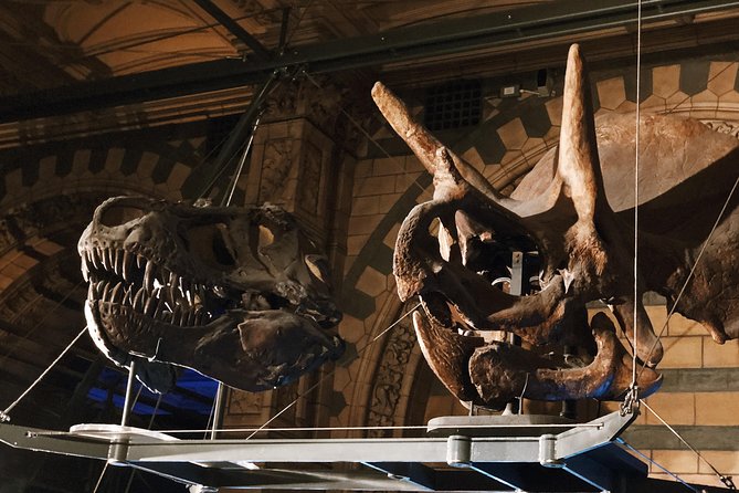 Natural History Museum London - Exclusive Guided Museum Tour - How the two-hour route feels