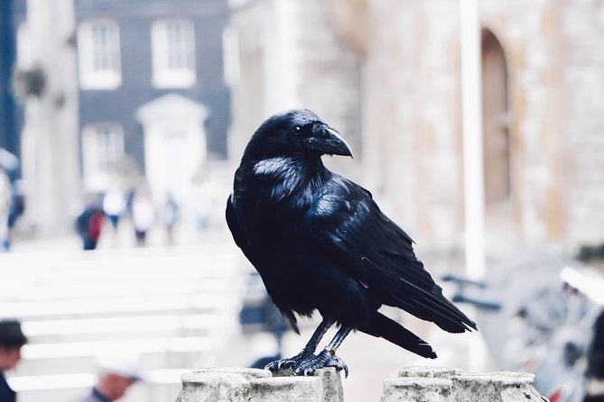 Private Tour of The Tower of London - What the guides add to the experience