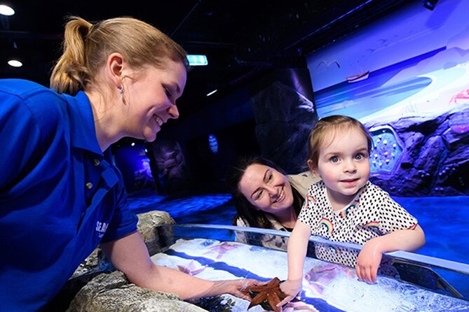 SEA LIFE London Aquarium Admission Ticket - Starting below the Atlantic Ocean
