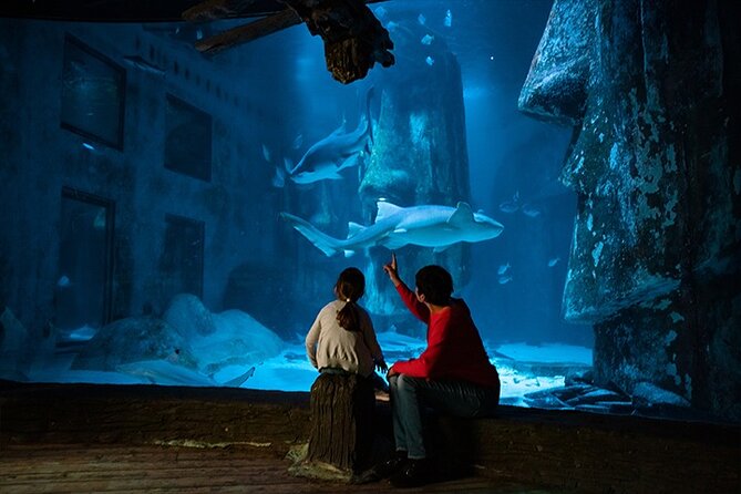 SEA LIFE London Aquarium Admission Ticket - Shark Reef Encounter is the main tank spectacle