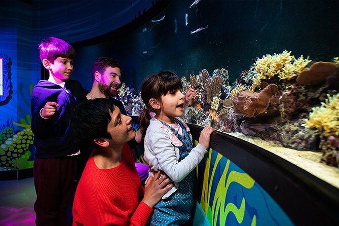 SEA LIFE London Aquarium Admission Ticket - Crowds, heat, and the shape of the route