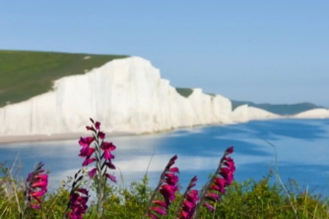 Seven Sisters & South Downs Tour with Train Tickets Included - What the small group and minivan change