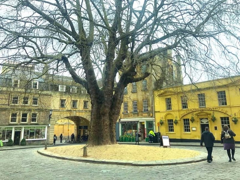 Stonehenge, Bath, Windsor and Roman Baths London Day Tours - Choosing Windsor Castle instead