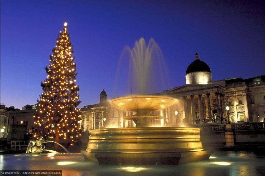 Tour of London and Christmas Day Lunch Cruise - Practical tips for making the day easier