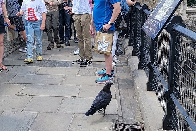 Tower of London: Guided Tour with Thames River Cruise - Is $69.95 a fair price?